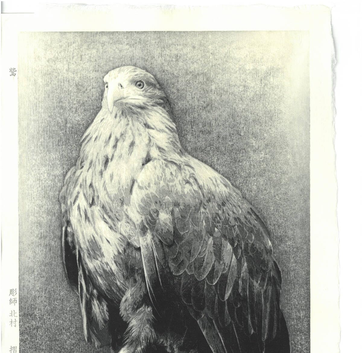 Amazon.co.jp: 真作保証 額装 北村昇一 木版画 鷲 初版 2022年